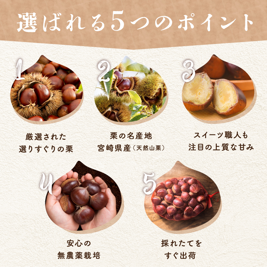 pan-chan様　生栗 5キロ 宮崎県産 特選生栗 大粒サイズ | タマチャンショップ 公式