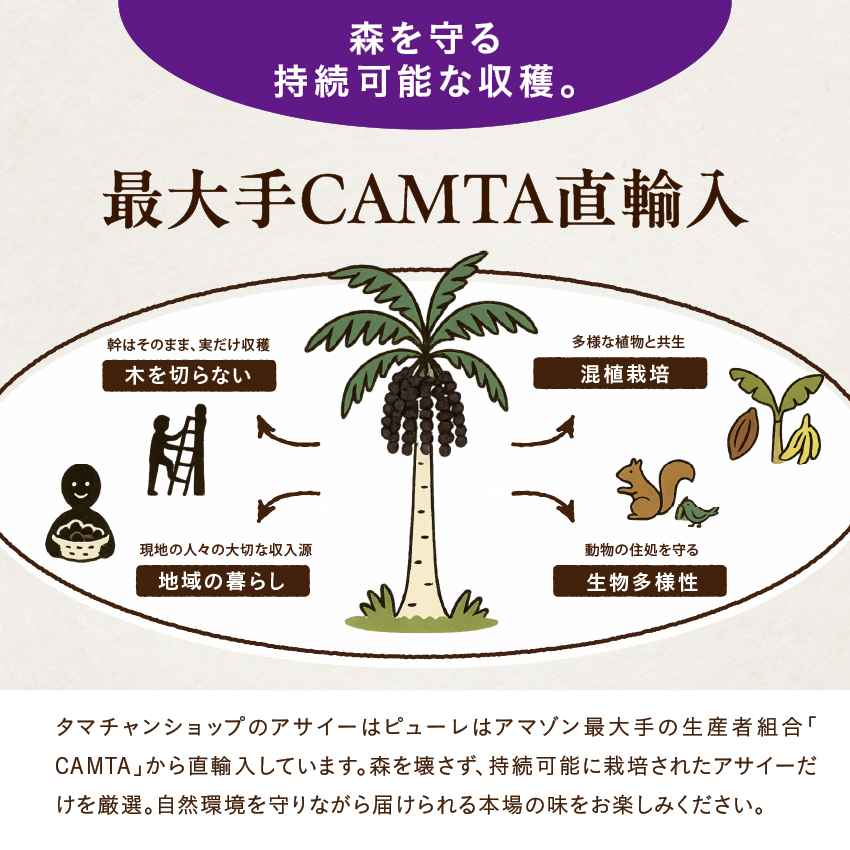 アサイーペーストサムネイル01