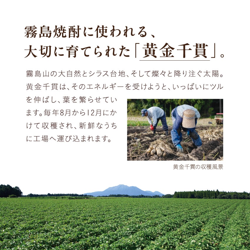 サクまいも(メルティショコラ&ミルキーショコラセット)サムネイル01