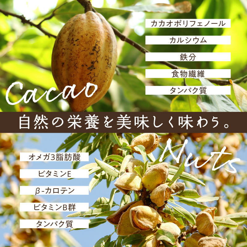 とろけるしあわせチョコレート4種セット(カカオ仕立て、宇治抹茶カカオ仕立て、ベリーベリーベリーショコラ、和風きなこショコラ)サムネイル01