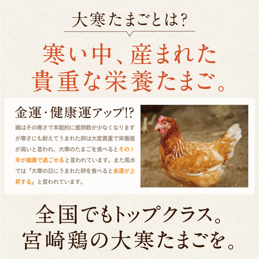 大寒たまご(30個)サムネイル01