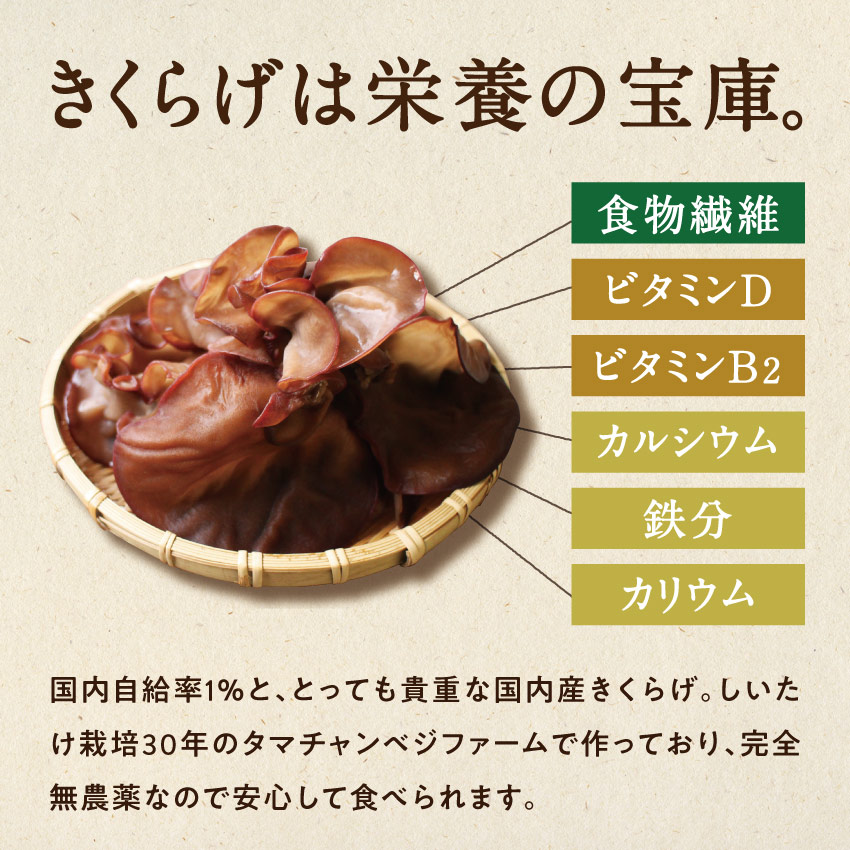 黒乾燥きくらげ40g×2袋サムネイル01