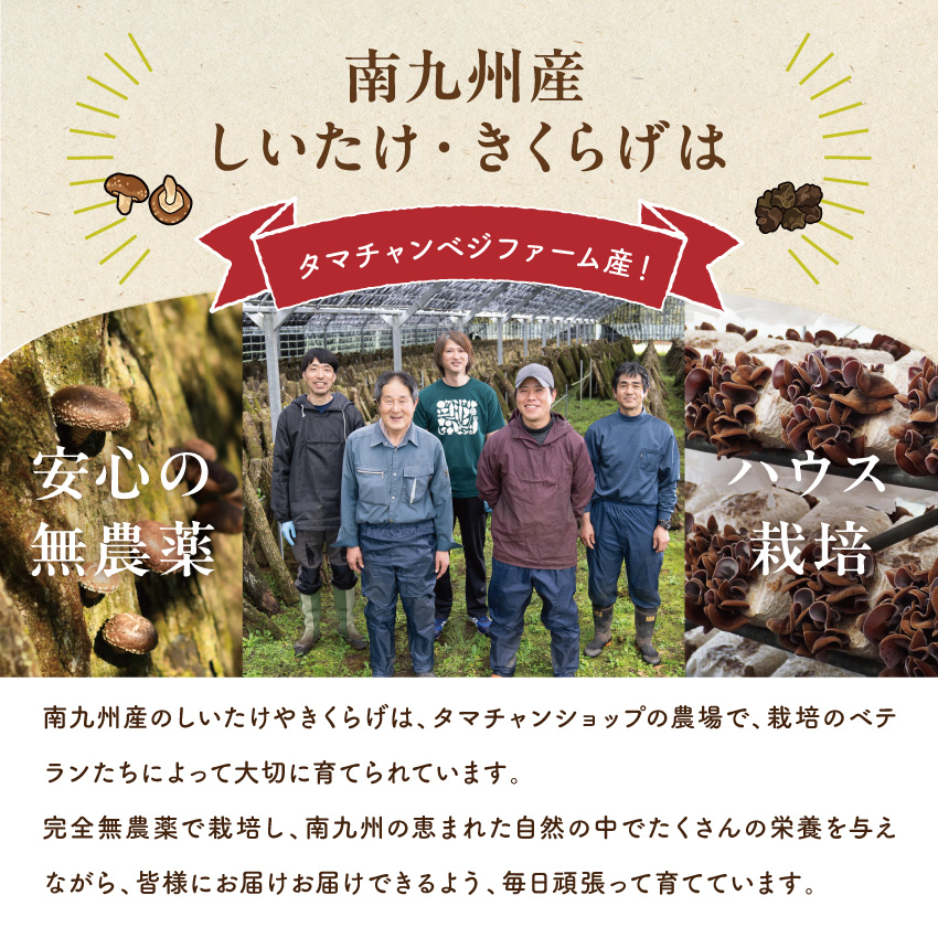 黒乾燥きくらげ40g×2袋サムネイル01