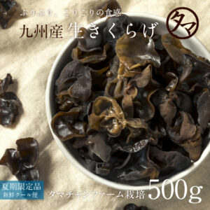 生キクラゲ（木耳）500g