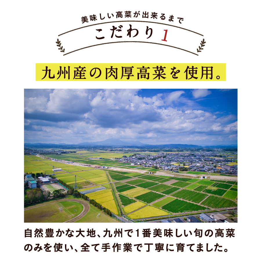 九州産うまか高菜セット（ゆずこしょう高菜+九州たなか）サムネイル01