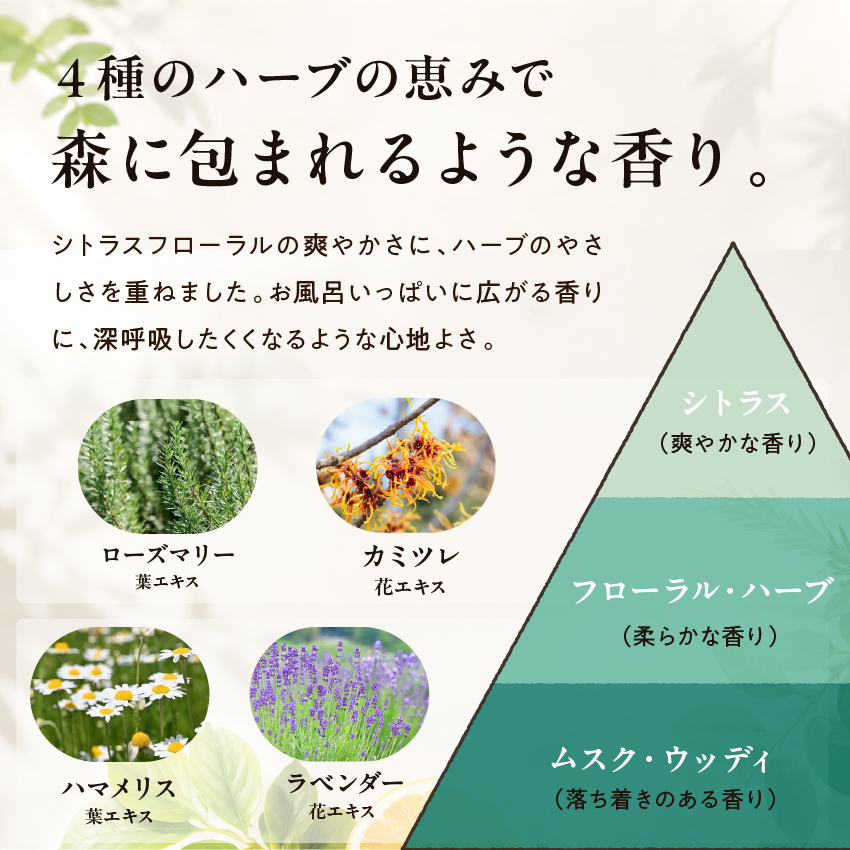 フォレストリッチボディソープ400mlサムネイル01