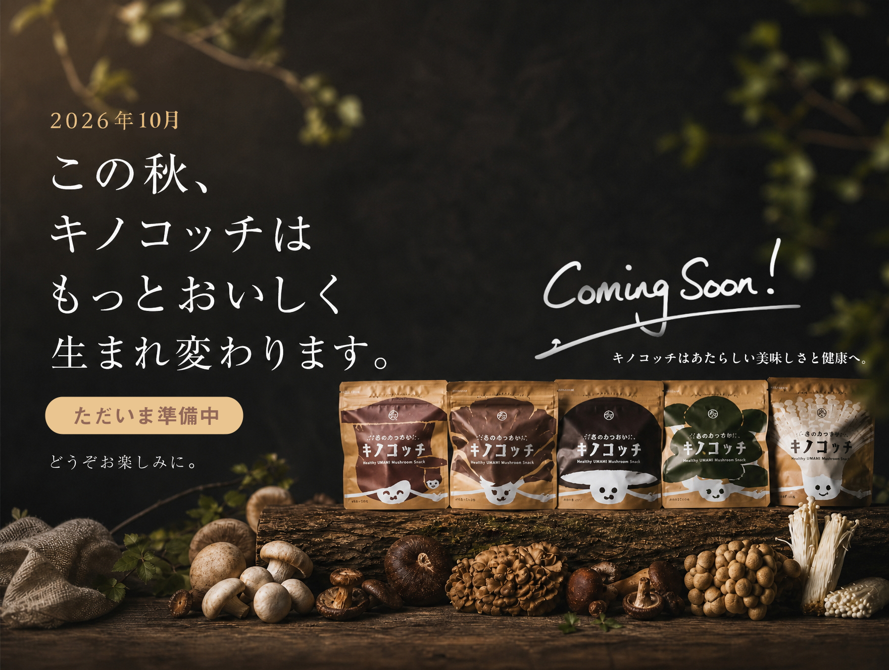 キノコッチ | タマチャンショップ 公式オンラインストア｜タマチャン