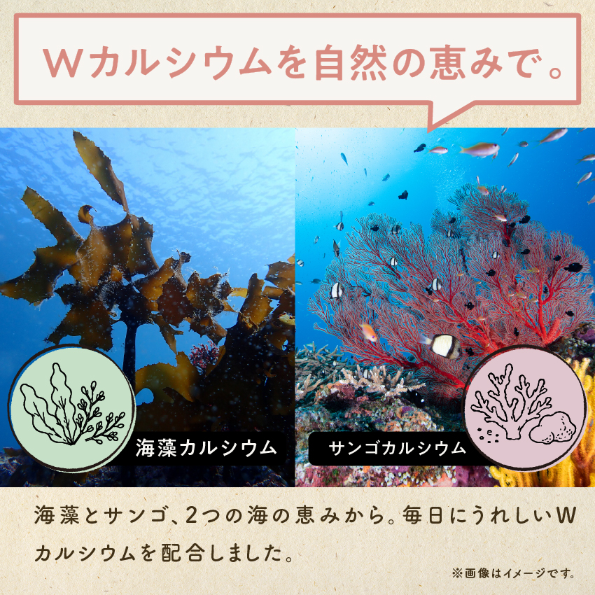 タンパクオトメ　ヨーグルシェイクサムネイル01