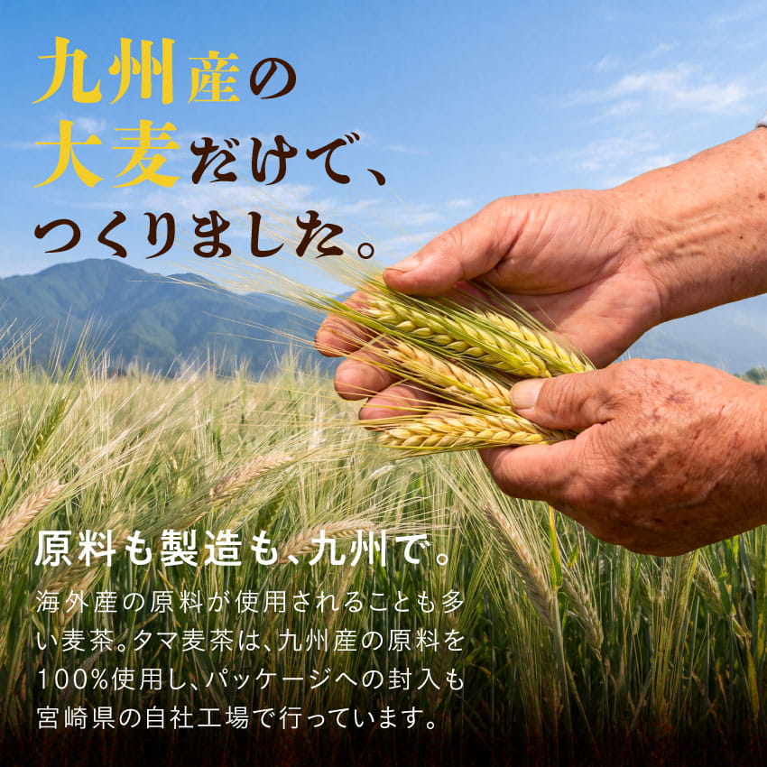 九州産麦茶(むぎ茶)50包サムネイル01