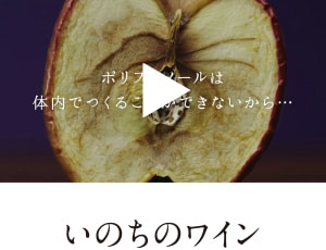 タマチャンショップのYoutube動画（いのちのワイン）