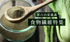 第六の栄養素「食物繊維特集」