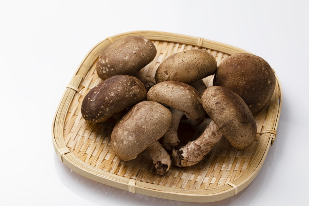 茶色いかさが特徴的な生しいたけ