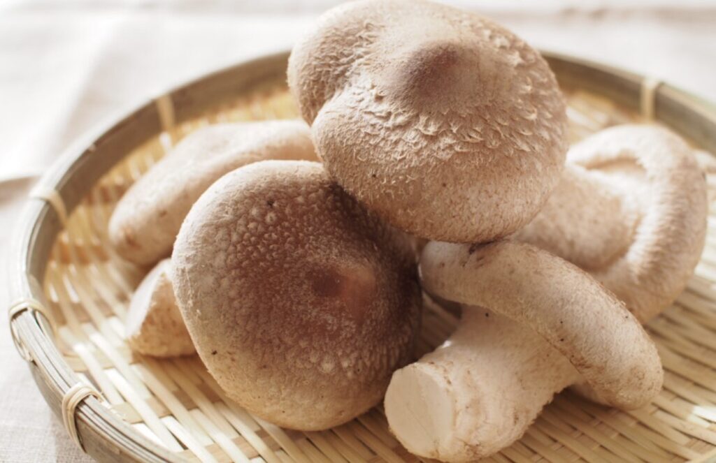 ざるにのったしいたけ