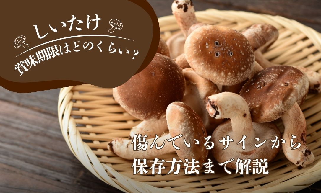 Shītake shōmi kigen
