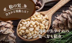 松の実に含まれる栄養とは？効果やおすすめの食べ方も紹介