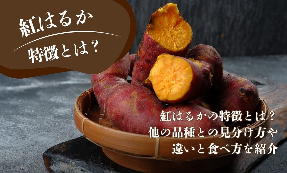 Kurenai Haruka tokucho