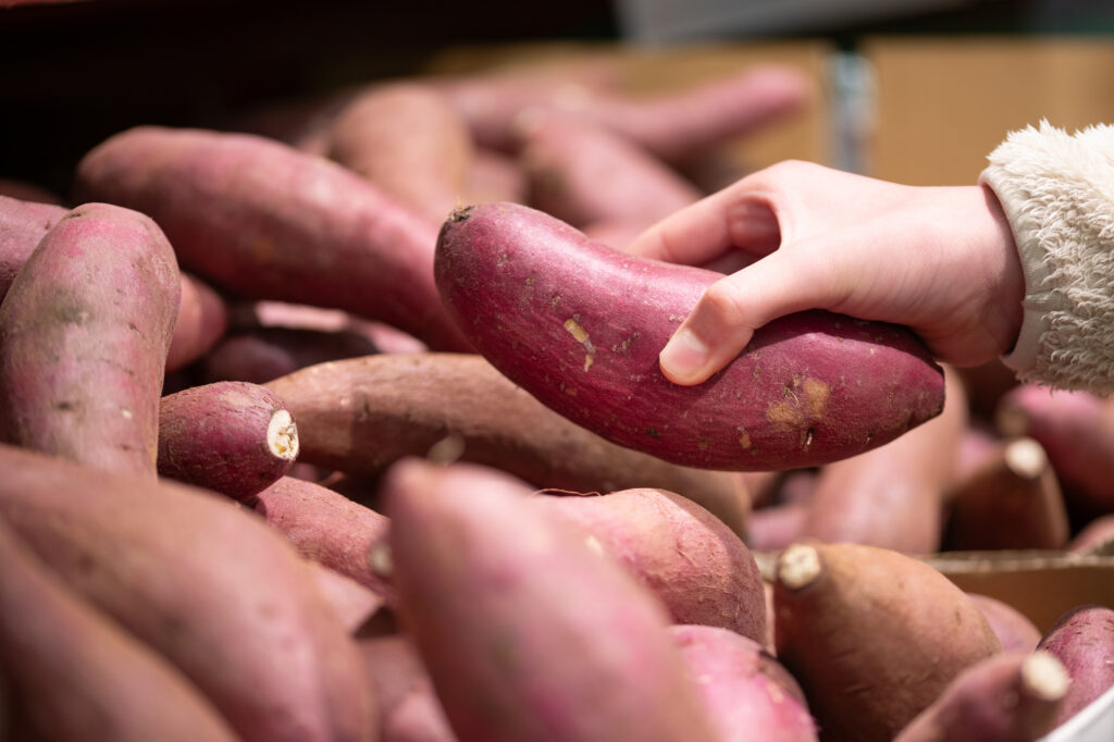さつまいもを選ぶ人