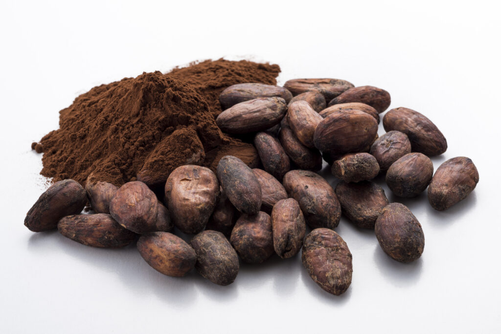 カカオパウダーとカカオ豆