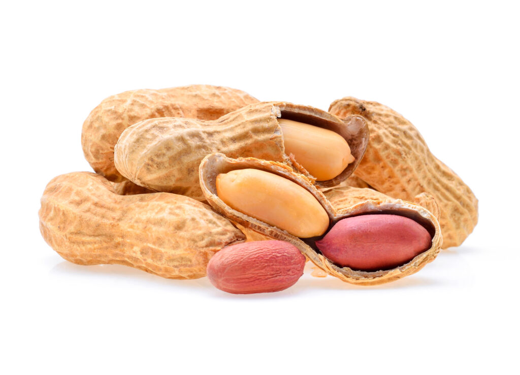 少量のピーナッツ