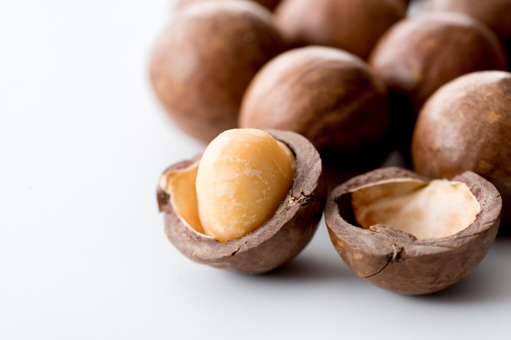 殻を割ったマカダミアナッツ