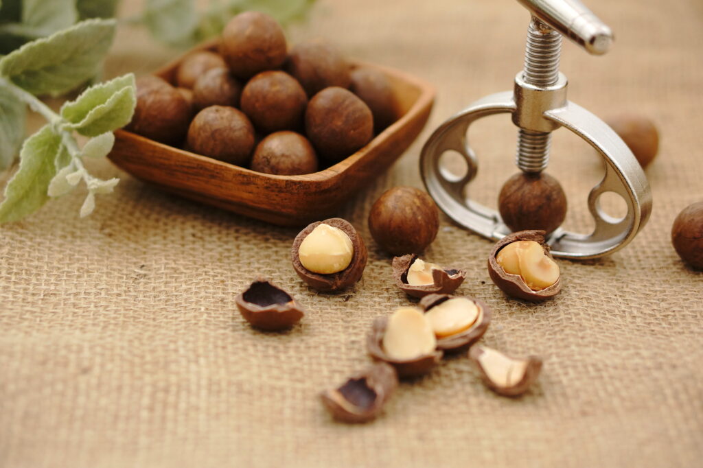 殻付きマカダミアナッツと殻割機