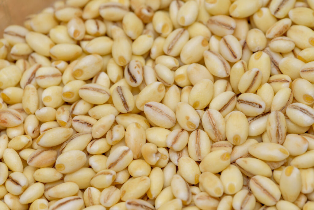 丸麦（半精白）