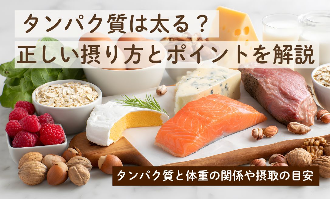 Tanpakushitsu futoru