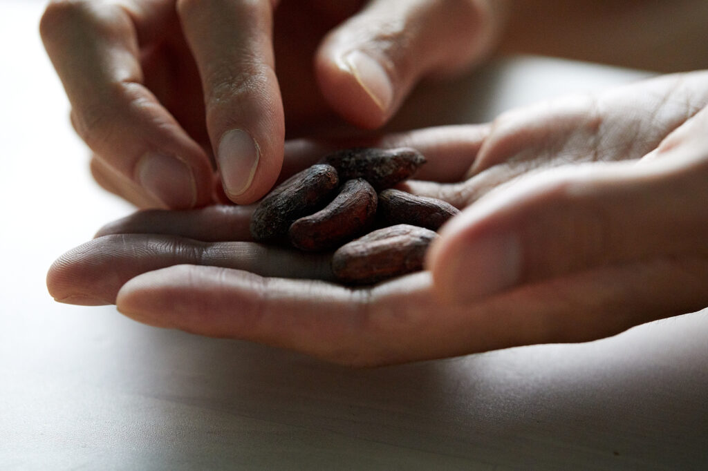 カカオ豆を選ぶ生産者の手