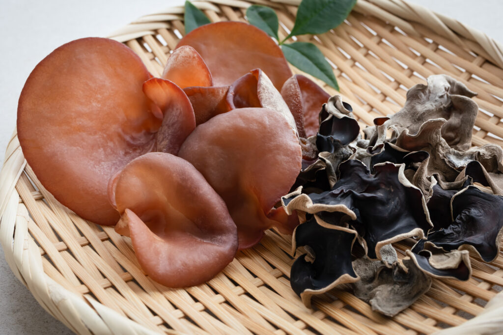 生きくらげと乾燥きくらげ