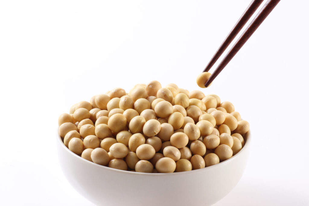 箸でつままれる大豆