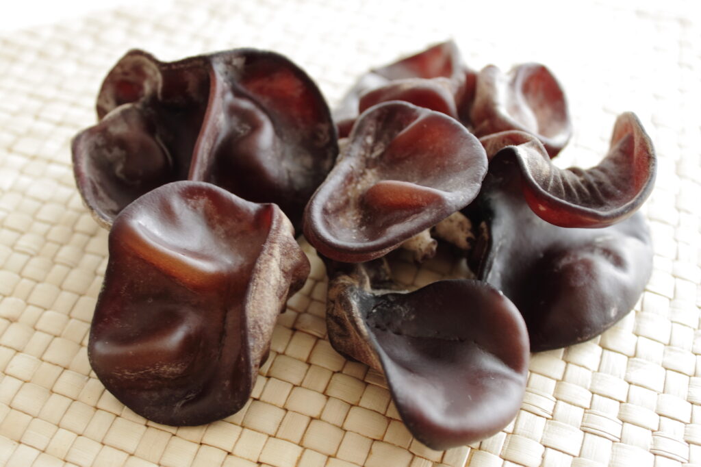 栄養豊富なきくらげ