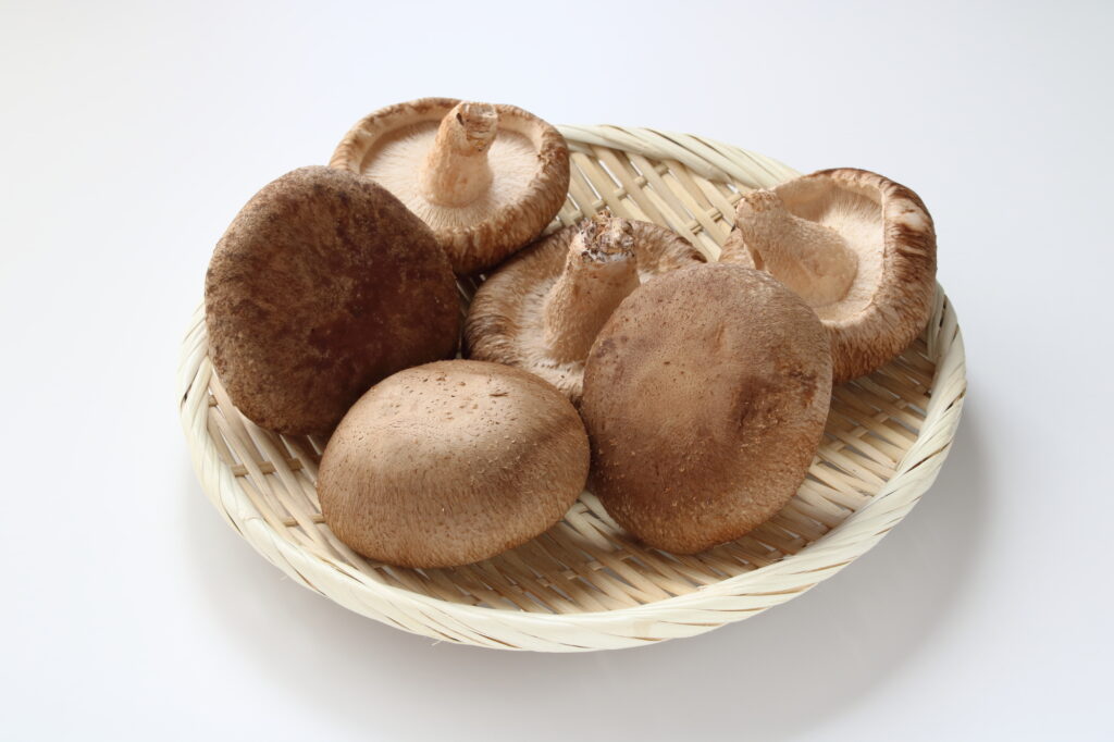 ざるにのったしいたけ