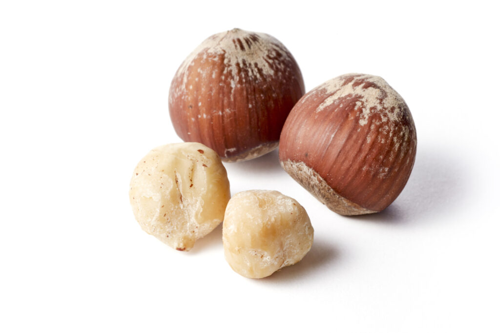 殻付きとむき身のヘーゼルナッツ
