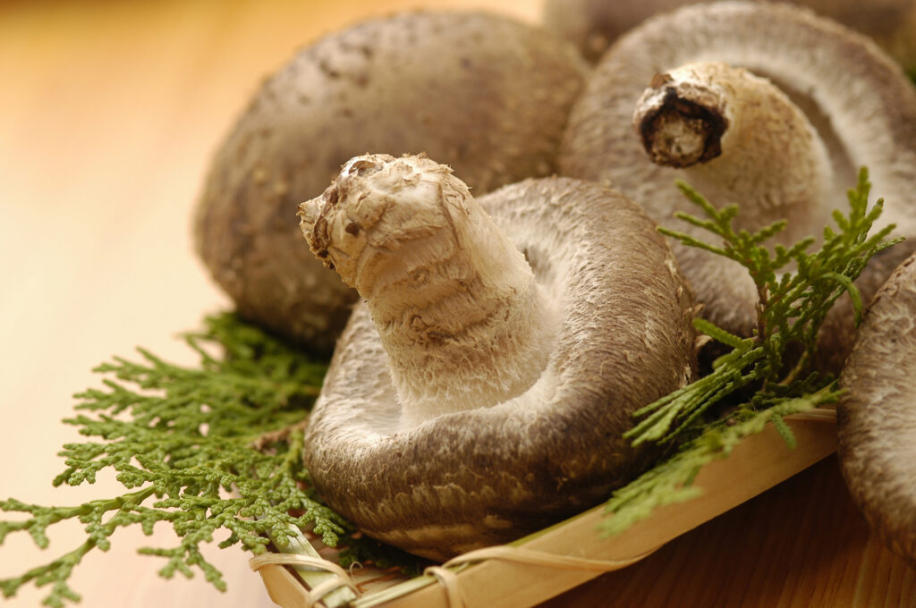 新鮮なしいたけ