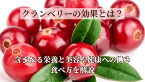 クランベリーの効果とは？含まれる栄養と美容や健康への働き・食べ方を解説