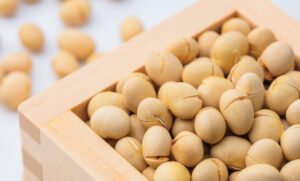 「2月3日は大豆の日」大地のパワーをいつもの食卓に