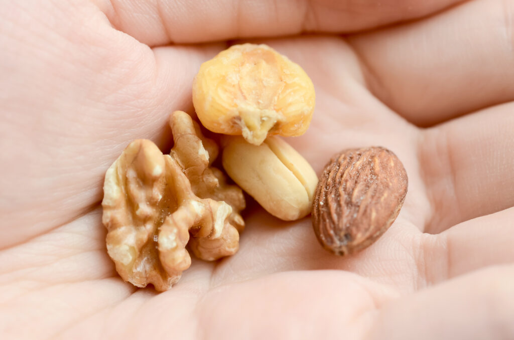 手のひらに乗ったミックスナッツ